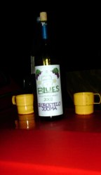 Kajaani Bleus home made wine